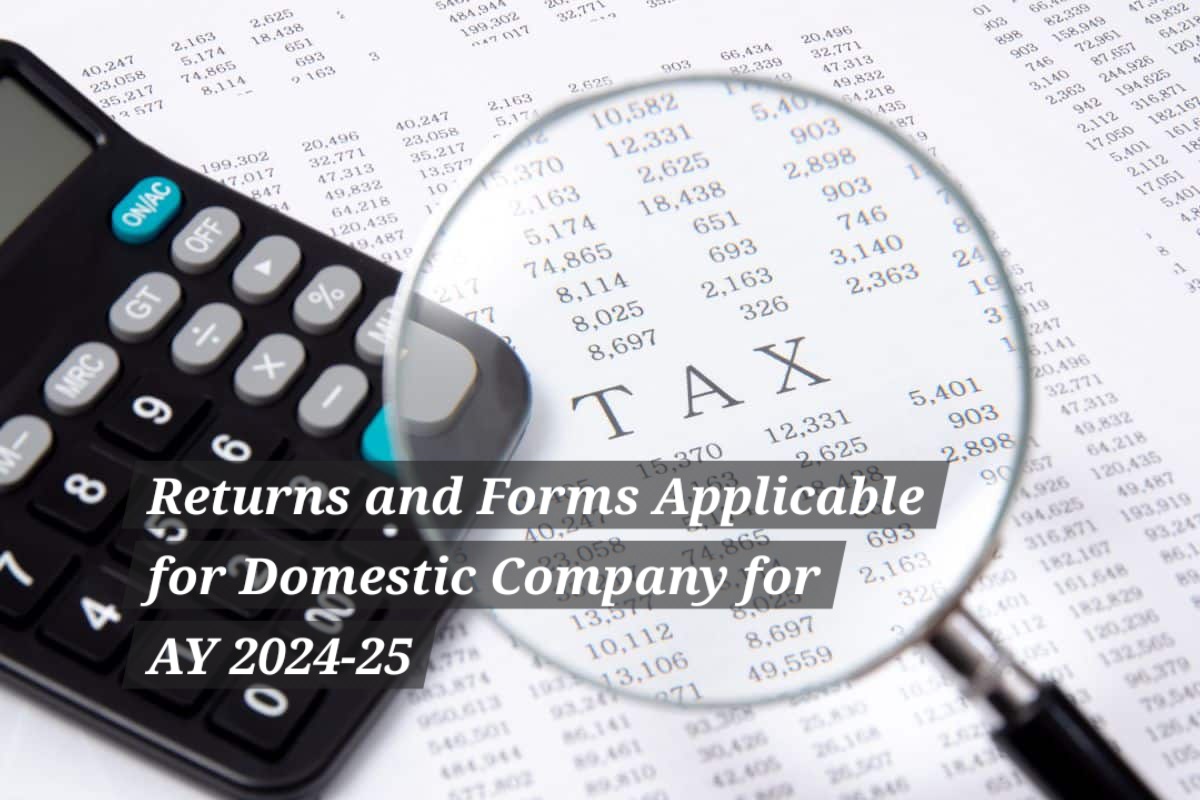 domestic-company-for-ay-2024-25-taxconcept